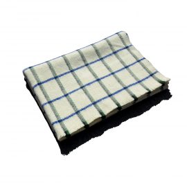 RADIEUSE verte couverture pliée